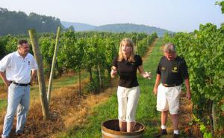 Virginia Wine Country